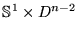 $ \ensuremath{\Bbb{S}^{1}} \times D^{n-2}$