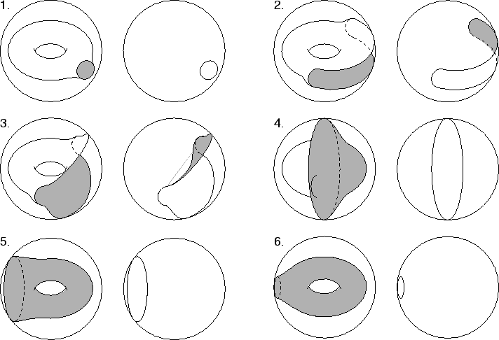 \includegraphics{gfx/torus_inversion.ps}