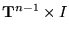$ \ensuremath{\mathrm{\mathbf{T}}^{n-1}}\times I$